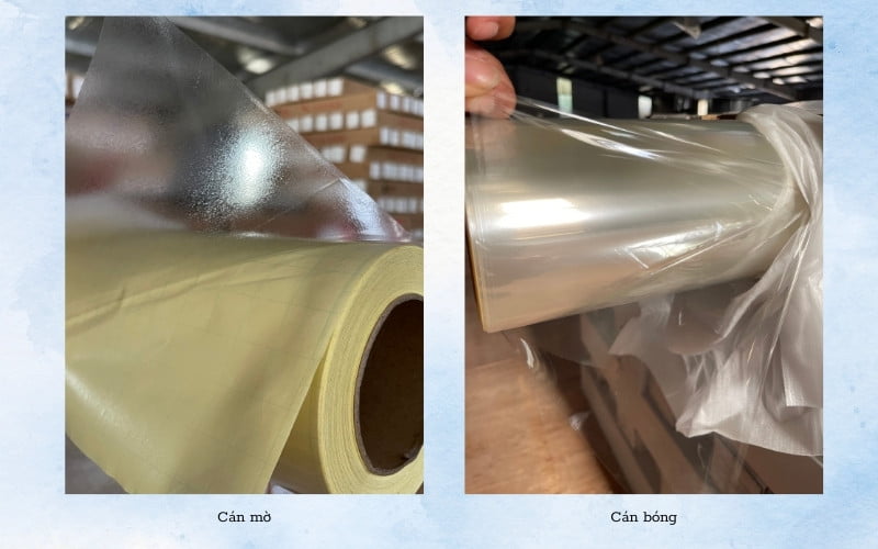 Màng cán bóng cán mờ